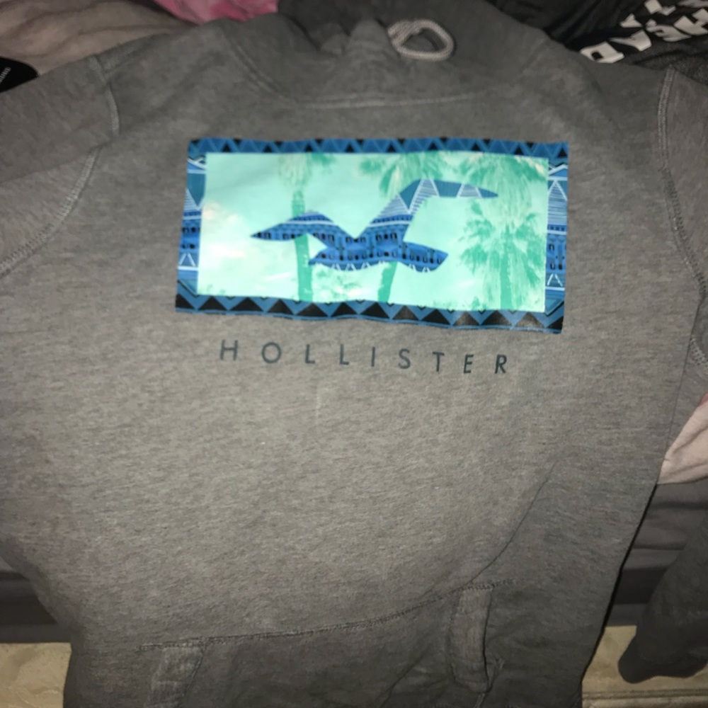 hollister hoodie